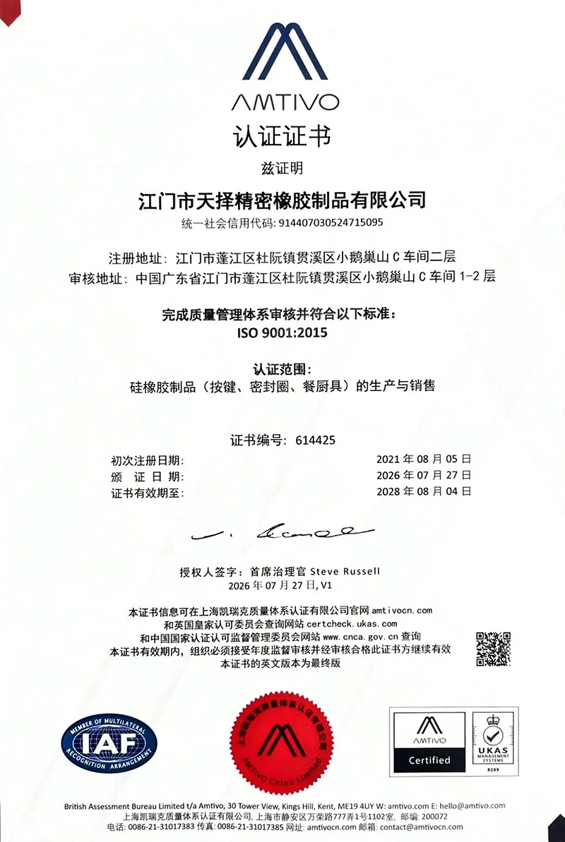 ISO 9001:2015 证书(中文版)